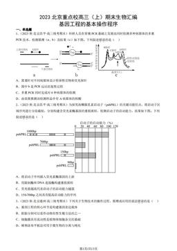 2023北京重点校高三（上）期末生物汇编：基因工程的基本操作程序-答案