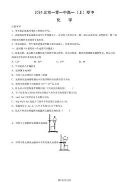 2024北京一零一中高一（上）期中化学（教师版）-答案