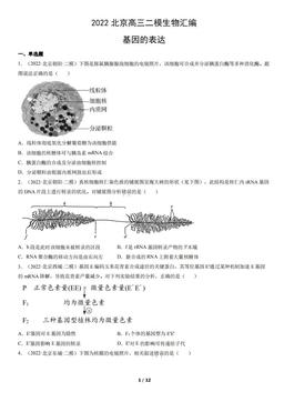 2022北京高三二模生物汇编：基因的表达-答案