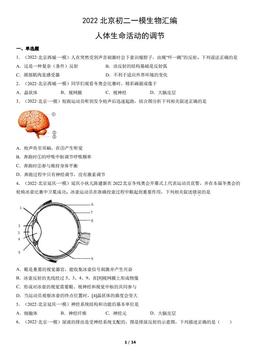 2022北京初二一模生物汇编：人体生命活动的调节-答案