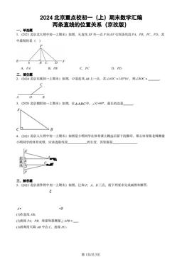 2024北京重点校初一（上）期末数学汇编：两条直线的位置关系（京改版）-答案