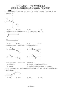 2024北京初一（下）期末数学汇编：观察猜想与证明章节综合（京改版）（非解答题）-答案