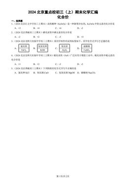 2024北京重点校初三（上）期末化学汇编：化合价-答案