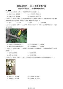 2025北京初一（上）期末生物汇编：光合作用吸收二氧化碳释放氧气-答案