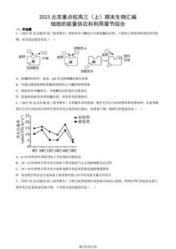 2023北京重点校高三（上）期末生物汇编：细胞的能量供应和利用章节综合-答案