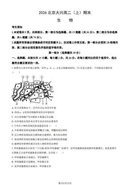2026北京大兴高二（上）期末生物（教师版）-答案