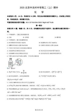 2025北京中关村中学高二（上）期中化学（教师版）-答案