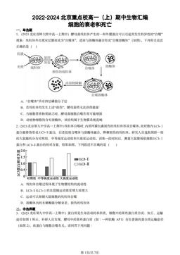2022-2024北京重点校高一（上）期中生物汇编：细胞的衰老和死亡-答案