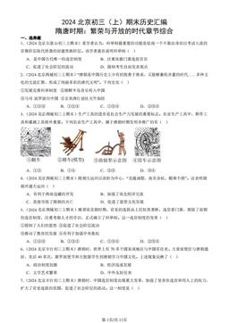 2024北京初三（上）期末历史汇编：隋唐时期：繁荣与开放的时代章节综合-答案