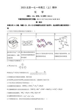 2023北京一七一中高三（上）期中化学（教师版）-答案