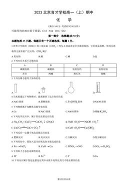2023北京育才学校高一（上）期中化学（教师版）-答案