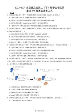 2022-2024北京重点校高二（下）期中生物汇编：重组DNA技术的基本工具-答案