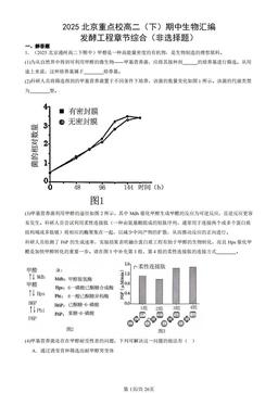 2025北京重点校高二（下）期中生物汇编：发酵工程章节综合（非选择题）-答案