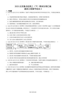 2023北京重点校高二（下）期末生物汇编：基因工程章节综合2-答案