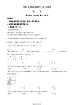 2024北京朝阳初三11月月考数学（教师版）