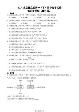 2024北京重点校高一（下）期中化学汇编：铁的多样性（鲁科版）