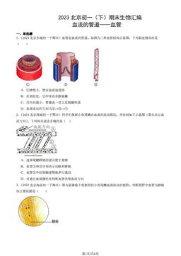 2023北京初一（下）期末生物汇编：血流的管道──血管-答案