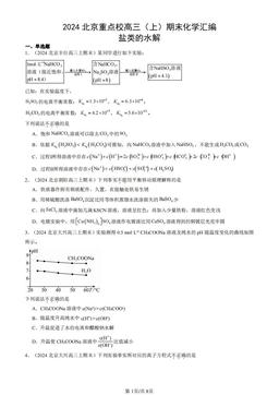 2024北京重点校高三（上）期末化学汇编：盐类的水解-答案