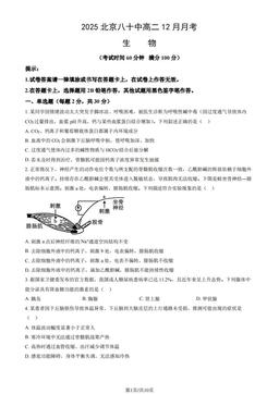 2025北京八十中高二12月月考生物（教师版）-答案