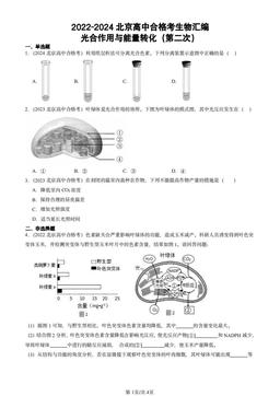 2022-2024北京高中合格考生物汇编：光合作用与能量转化（第二次）-答案