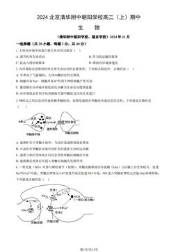 2024北京清华附中朝阳学校高二（上）期中生物（教师版）-答案