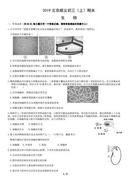 2019北京顺义初三（上）期末生物含答案-答案