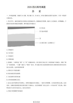 2025四川高考真题历史（教师版）-答案