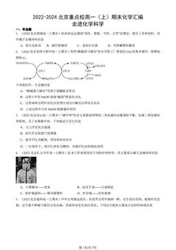 2022-2024北京重点校高一（上）期末化学汇编：走进化学科学-答案