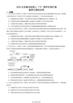 2025北京重点校高二（下）期中生物汇编：基因工程的应用-答案