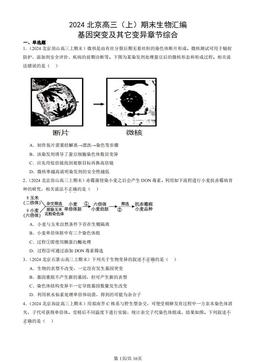 2024北京高三（上）期末生物汇编：基因突变及其它变异章节综合-答案