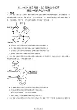 2022-2024北京高三（上）期末生物汇编：神经冲动的产生和传导-答案