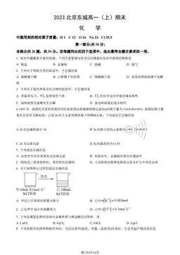 2023北京东城高一（上）期末化学（教师版）-答案