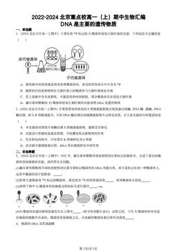 2022-2024北京重点校高一（上）期中生物汇编：DNA是主要的遗传物质-答案