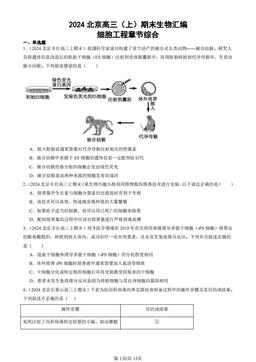 2024北京高三（上）期末生物汇编：细胞工程章节综合-答案