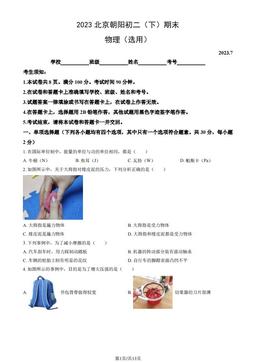 2023北京朝阳初二（下）期末物理（教师版）-答案