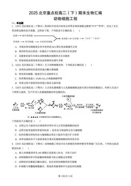 2025北京重点校高二（下）期末生物汇编：动物细胞工程-答案