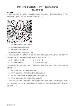 2023北京重点校高一（下）期中生物汇编：DNA的复制-答案