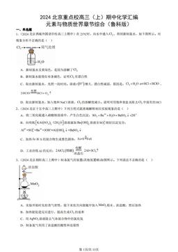 2024北京重点校高三（上）期中化学汇编：元素与物质世界章节综合（鲁科版）-答案