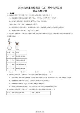 2024北京重点校高三（上）期中化学汇编：氮及其化合物-答案