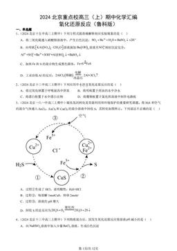 2024北京重点校高三（上）期中化学汇编：氧化还原反应（鲁科版）-答案