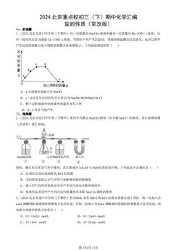 2024北京重点校初三（下）期中化学汇编：盐的性质（京改版）-答案