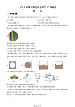 2024北京通州潞河中学高三10月月考物理（教师版）-答案