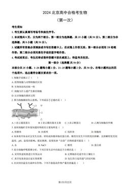 2024北京高中合格考生物（第一次）（教师版）-答案
