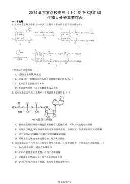 2024北京重点校高三（上）期中化学汇编：生物大分子章节综合-答案