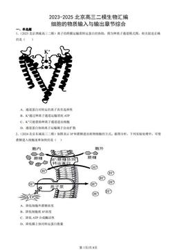 2023-2025北京高三二模生物汇编：细胞的物质输入与输出章节综合-答案