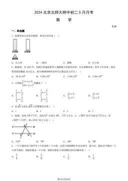2024北京北师大附中初二5月月考数学（教师版）-答案