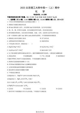 2023北京理工大附中高一（上）期中化学（教师版）-答案