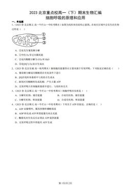 2023北京重点校高一（下）期末生物汇编：细胞呼吸的原理和应用-答案