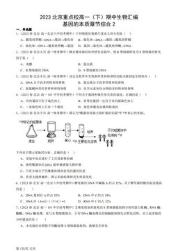 2023北京重点校高一（下）期中生物汇编：基因的本质章节综合2-答案