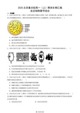 2025北京重点校高一（上）期末生物汇编：走近细胞章节综合-答案